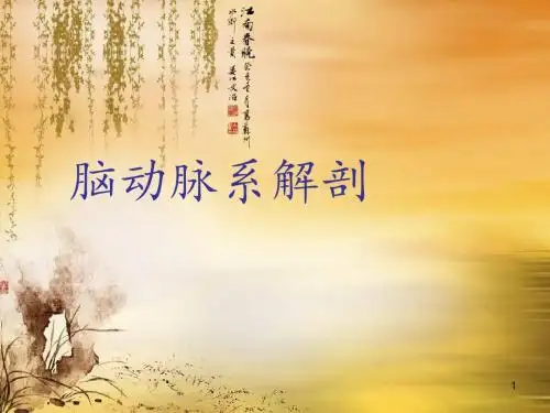 脑动脉系解剖ppt课件