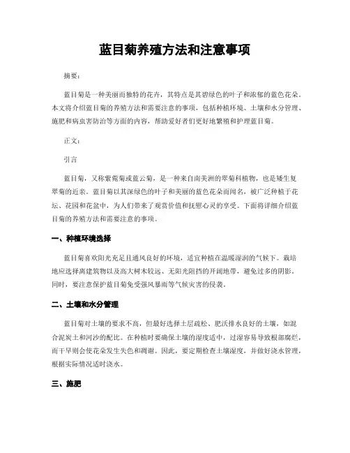 蓝目菊养殖方法和注意事项