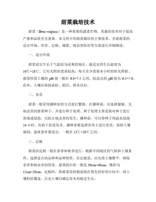 甜菜栽培技术