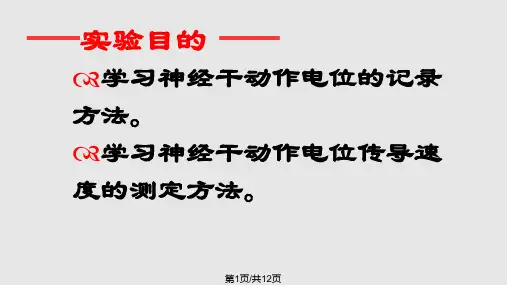 动作电位的测量PPT课件