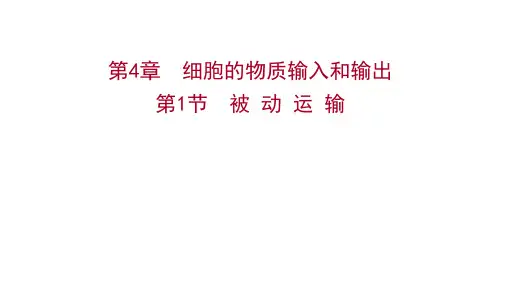 新教材高中人教版生物必修一课件第4章第1节被动运输