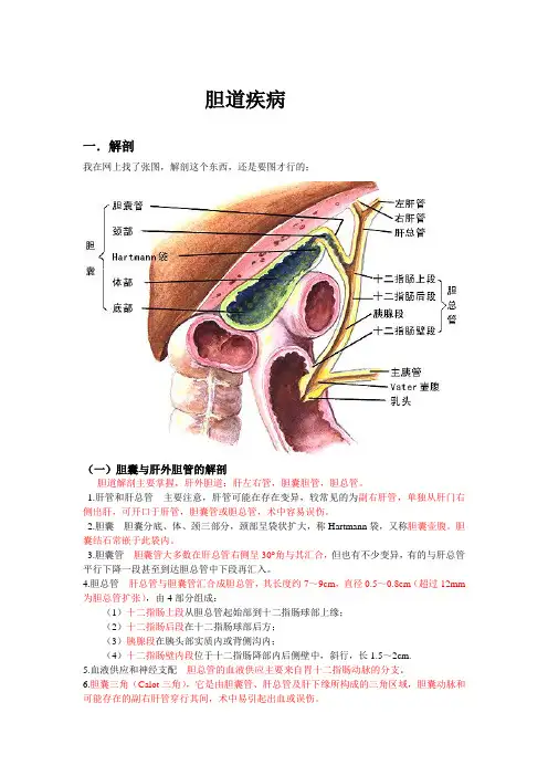 胆道疾病
