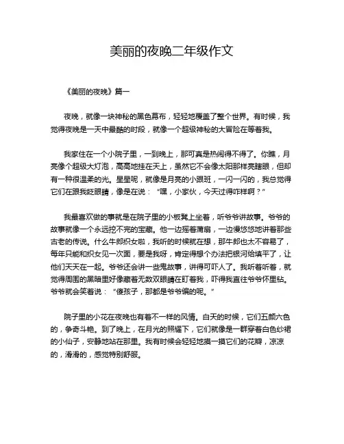 美丽的夜晚二年级作文
