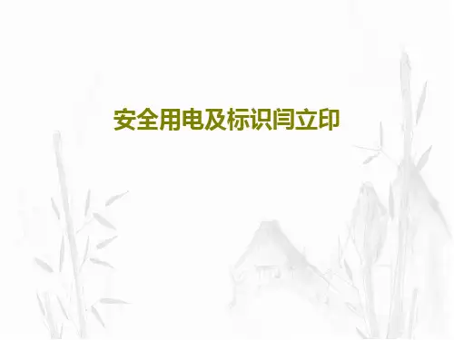 安全用电及标识闫立印共57页