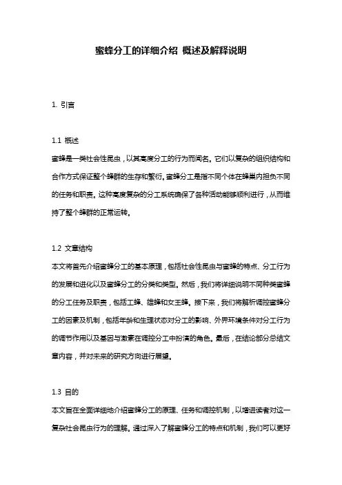 蜜蜂分工的详细介绍_概述及解释说明