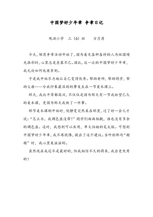 中国梦好少年章争章日记