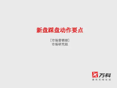 新盘踩盘动作要点.ppt