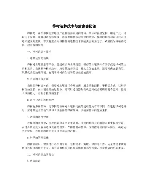 桦树造林技术与病虫害防治