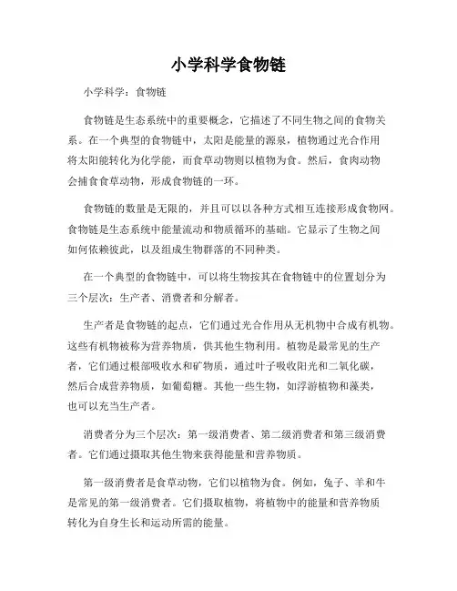 小学科学食物链