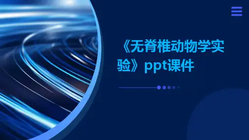 《无脊椎动物学实验》课件