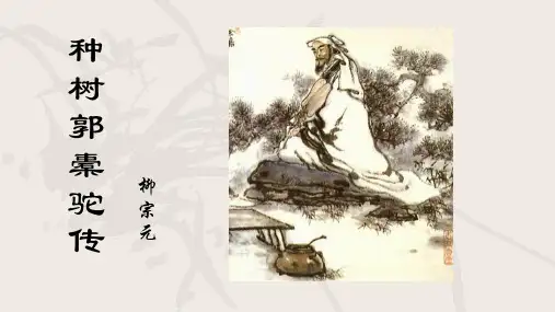 《种树郭橐驼传》课件ppt