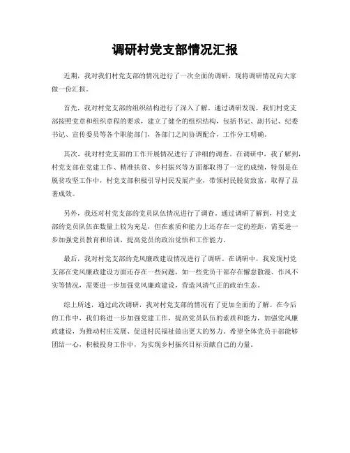 调研村党支部情况汇报