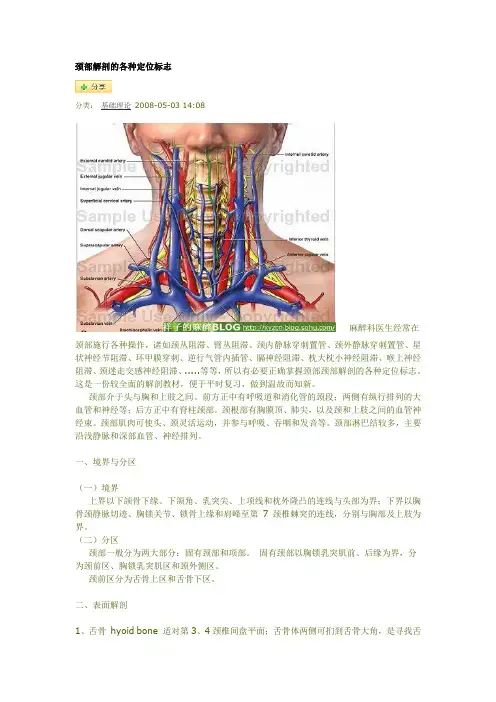 颈部解剖的各种定位标志