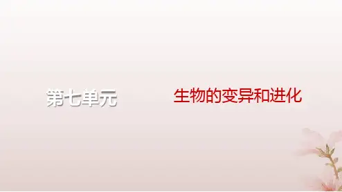 2024届高考生物一轮总复习第七单元生物的变异和进化第21讲生物的进化课件
