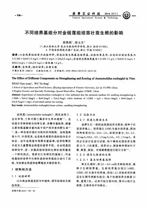 不同培养基组分对金线莲组培苗壮苗生根的影响