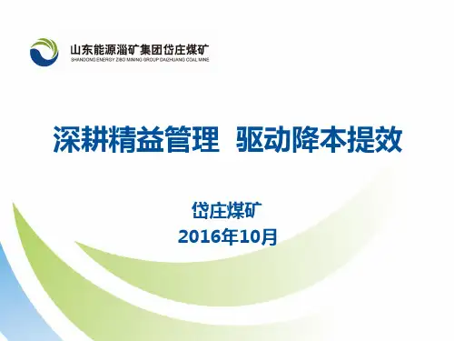 岱庄煤矿精益管理课件