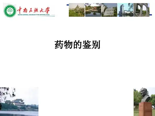 药物的鉴别ppt课件