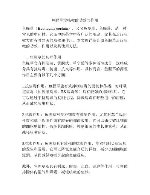鱼腥草治咳嗽的功效与作用
