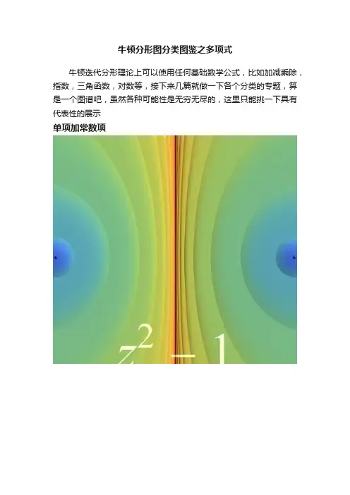 牛顿分形图分类图鉴之多项式
