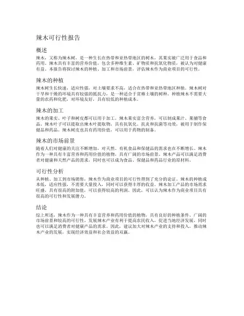 辣木可行性报告