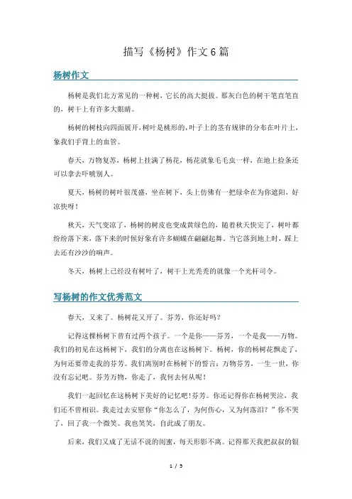 描写《杨树》作文6篇