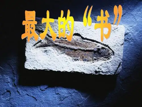 人教二下《最大的“书”》教学课件