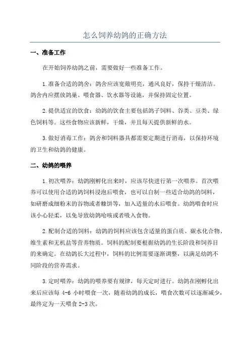 怎么饲养幼鸽的正确方法