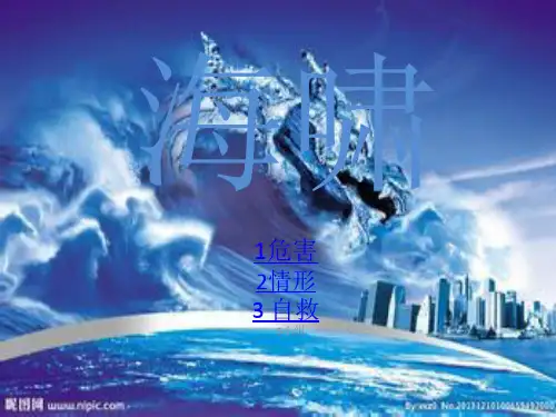 【优】海啸最全PPT资料