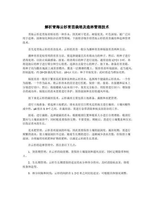 解析青海云杉育苗栽培及造林管理技术