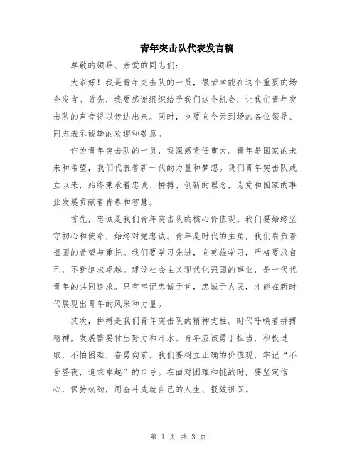青年突击队代表发言稿