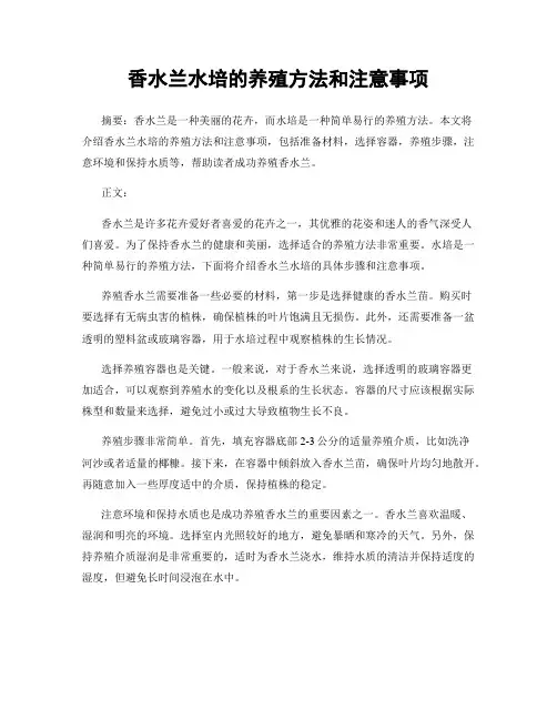 香水兰水培的养殖方法和注意事项