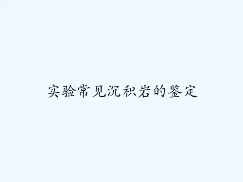 实验常见沉积岩的鉴定 PPT