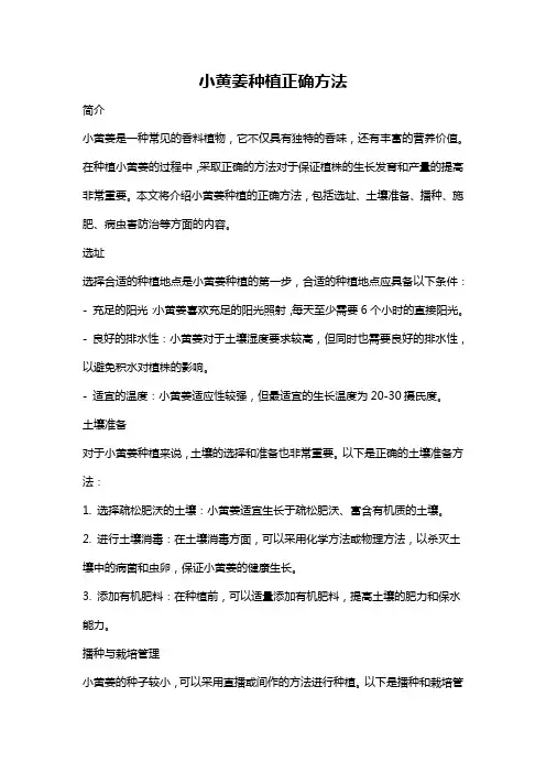 小黄姜种植正确方法