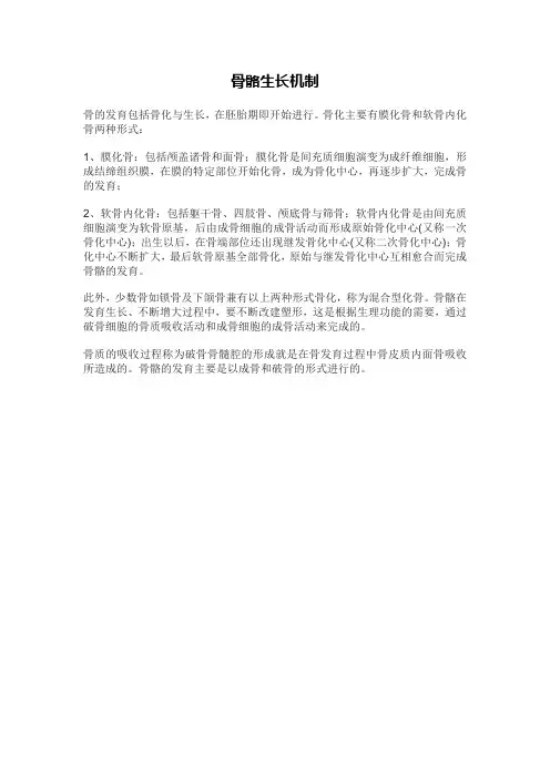 骨骼生长机制