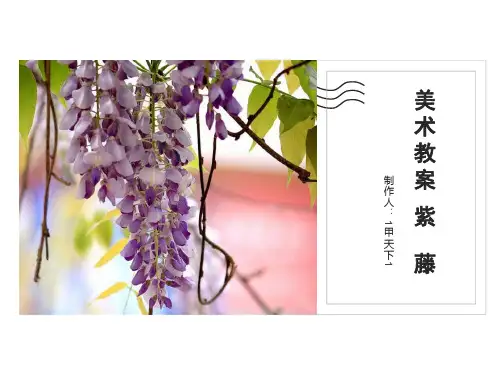 美术教案课件——紫藤