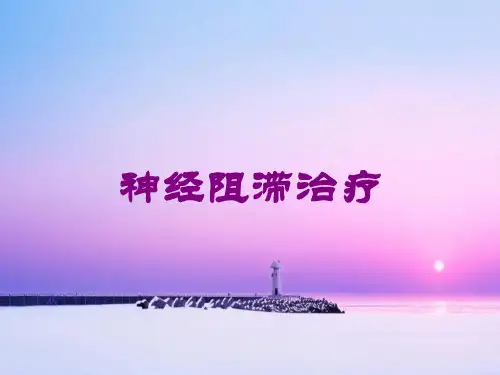 神经阻滞治疗培训课件