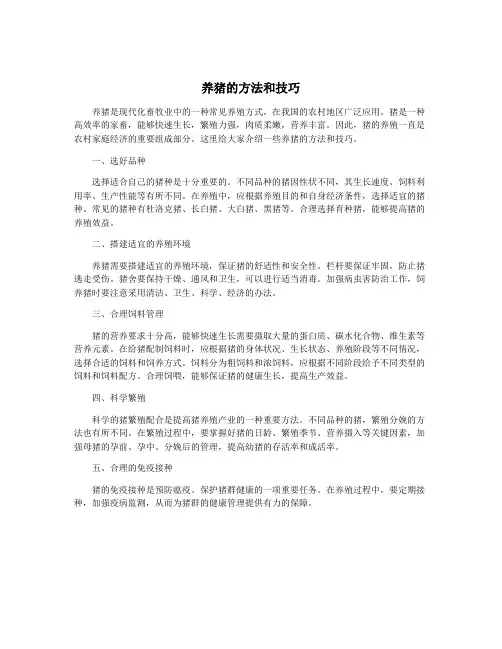 养猪的方法和技巧