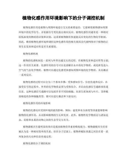 植物化感作用环境影响下的分子调控机制