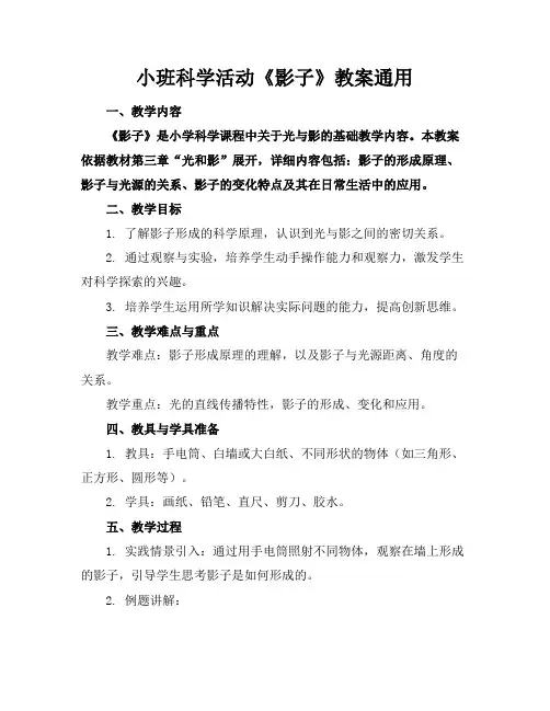 小班科学活动《影子》教案
