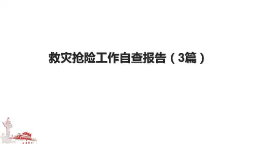 救灾抢险工作自查报告(3篇)