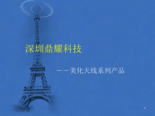 美化天线幻灯片各种相关演讲肯定用的上参考幻灯片