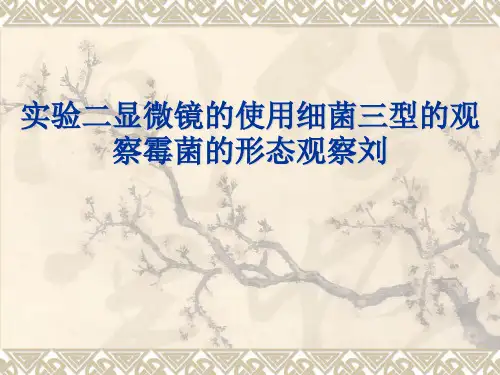 实验二显微镜的使用细菌三型的观察霉菌的形态观察刘 ppt课件