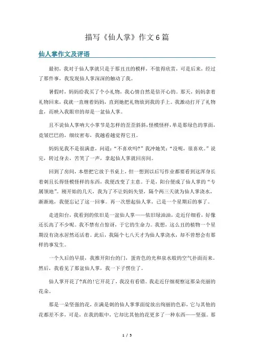 描写《仙人掌》作文6篇
