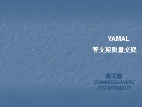 管支架质量培训ppt课件