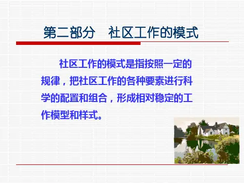 社区工作的地区发展模式