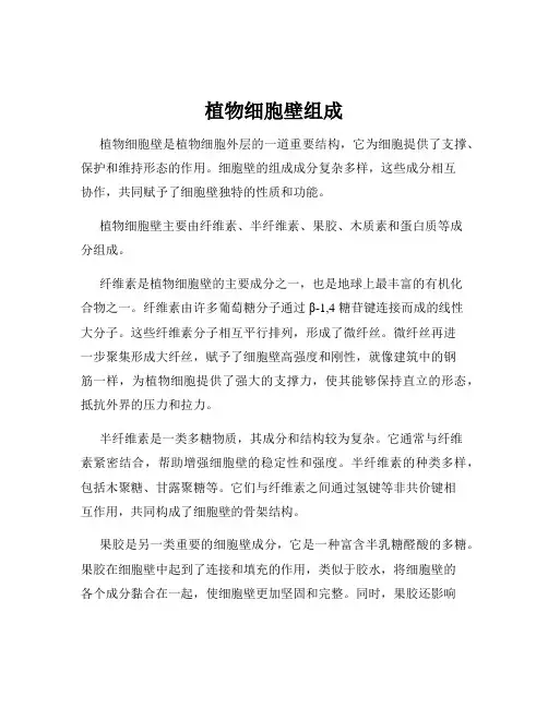 植物细胞壁组成