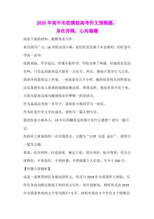 2020年高中名校模拟高考作文预测题及点评：身在井隅,心向璀璨