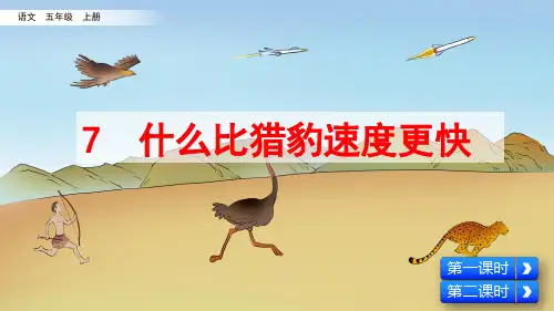 统编版五年级语文上册第7课《什么比猎豹的速度更快》优质课件(共90张PPT)