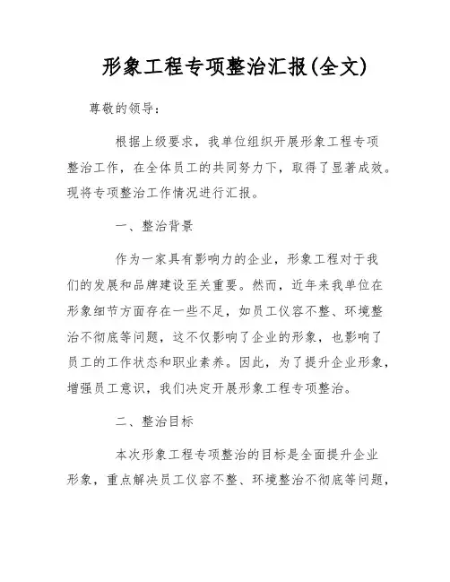 形象工程专项整治汇报(全文)