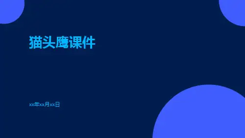 猫头鹰课件